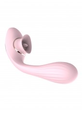 2 en 1 Stimulateur de clitoris avec langue et vibromasseur pour G USB flexible rose DISA - WS-NV025PNK