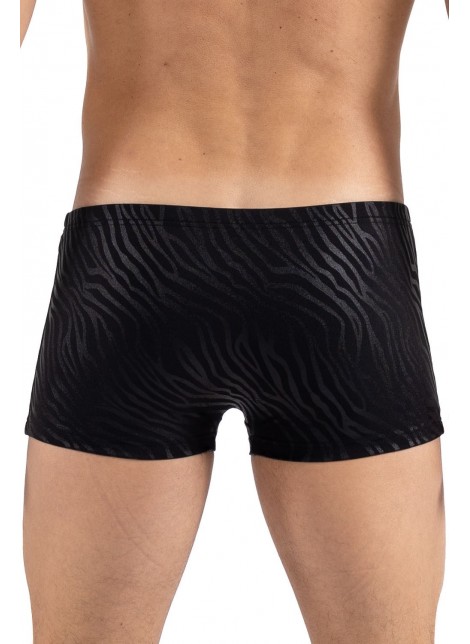 Boxer noir gold Zebra - LM2403-67BLK