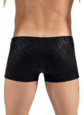 Boxer noir gold Zebra - LM2403-67BLK