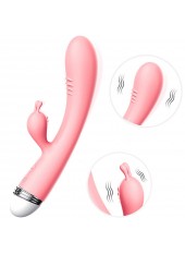 Vibromasseur Rabbit rose vintage 10 vitesse USB - TOZ-053BPNK