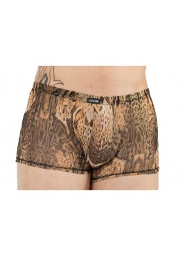 Boxer Savanna - LM61-67