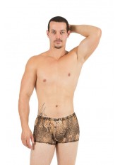 Boxer Savanna - LM61-67